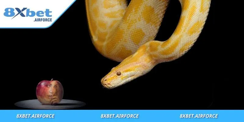 Mơ Thấy Rắn - Báo Hiệu Con Số Lô Đề Và Bí Mật Đặc Biệt 4 Kết hợp mơ về rắn và phương pháp soi lô giúp tăng xác suất trúng số