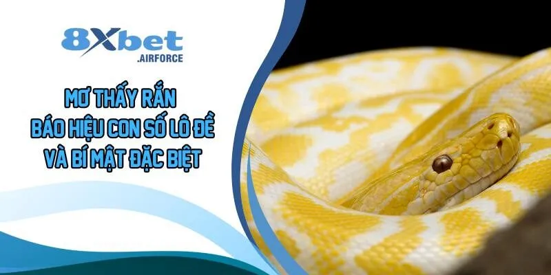 Mơ Thấy Rắn